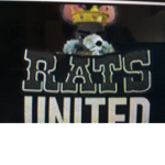 Rats United yes
