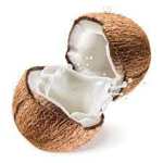 Coconut Army: