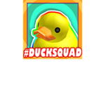 THE SQUAD OF DUCK