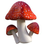 Mushroomed Kingdom