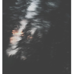 Faded ethics