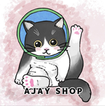 Ajay shop