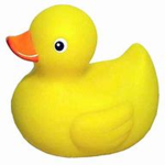Aiden's duck
