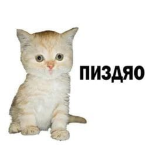 Kiki_mimi