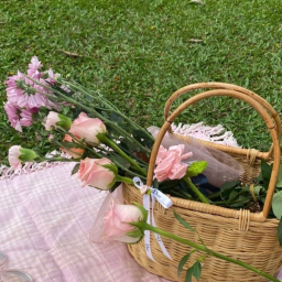-` ꒰꒰ 🌷꒱꒱ ´-