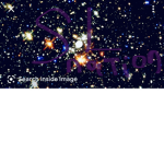 :) Dis star platinum za wardu