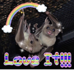 V1be Båtś