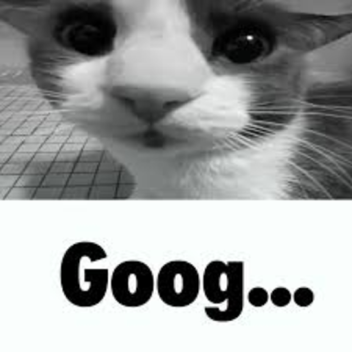 test 1