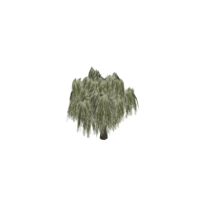 PBR Willow Tree