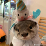 fund for friends!