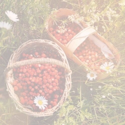 ୨୧