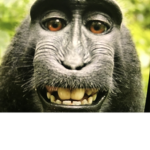 Monke Church