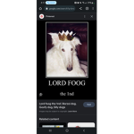 BORZOI IS DA BEST