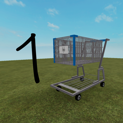 Einkauswagen Wettrennen 1