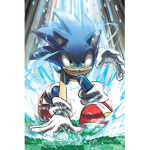 Sonic fan group.