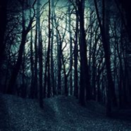 The Unhinged Woods