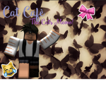 ~ Cat Cafè ~