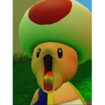 The best toads