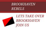.BROOKHAVEN REBELS.