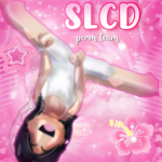 SLCD Perm Team