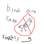 Birds are fake