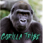 united gorilla tribe