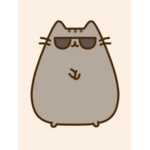 Cat group_