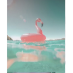 XxMarixolx120