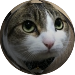 Smug Kats United