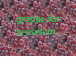 Grapes for President