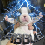 pibble Ω¹