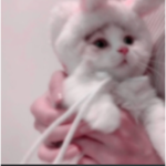 Pinkbun group