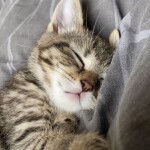 40% buy ur itens ♡