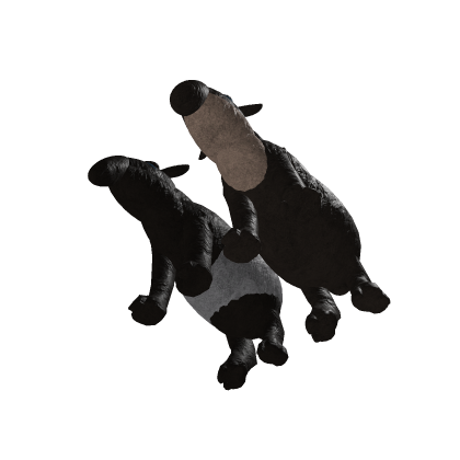 Tapirs