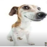 Only for friends and family