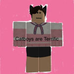 Cat-boys Are Terrific