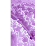 Simplyastheic_rajon