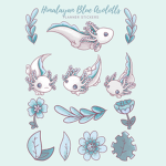 Axolotl's Empire