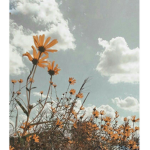 HappyJayweethebunny