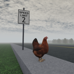 why did the chicken