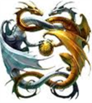 The dragon fire clan