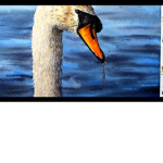 The honk army