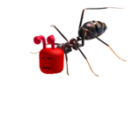 [ATF] Ant's Clothes for Humans