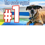 The cools squad