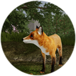 New Character!