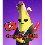 GamerBoy 3421 Group