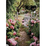 ~ / Beth’s Garden \ ~