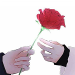 True Rose