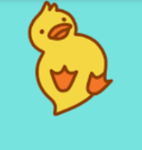 Duck—_—