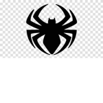 Die Spinne